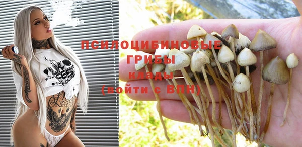 spice Михайловск