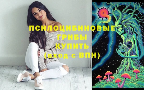 прущие крисы Медвежьегорск