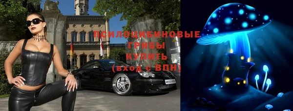 метадон Медногорск