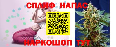 сатива Будённовск