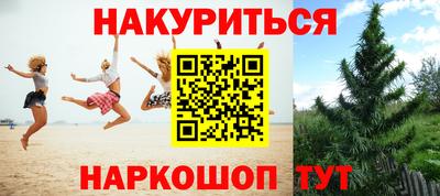 сатива Будённовск