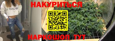 сатива Будённовск