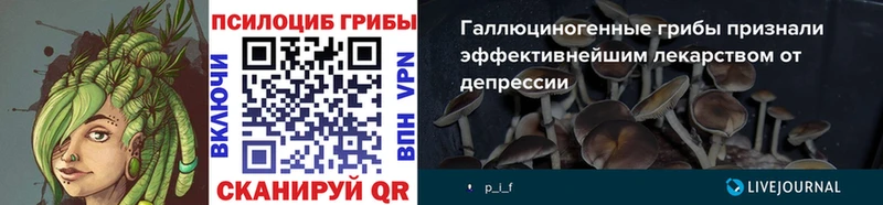 Псилоцибиновые грибы мухоморы  Лабытнанги 